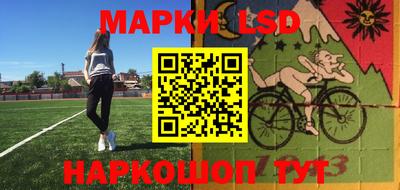 гидра Будённовск