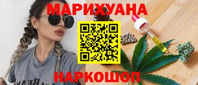 гидра Будённовск