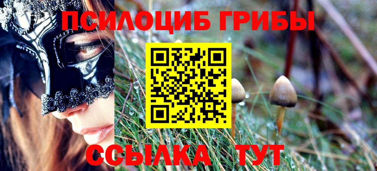 Псилоцибиновые грибы прущие грибы Сланцы