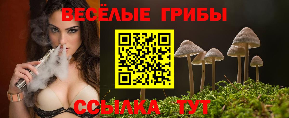 Псилоцибиновые грибы GOLDEN TEACHER  Вход с VPN  как найти закладки  Сланцы 